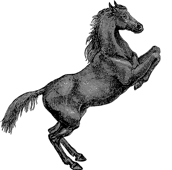 黑白体育