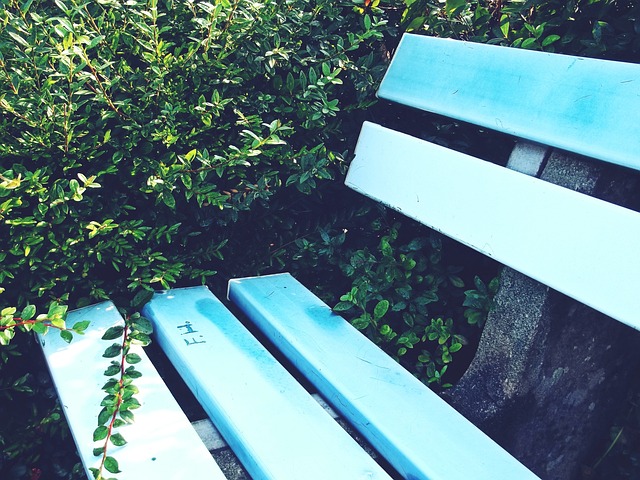 洋基队供职 洋基队供职